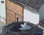 Capi_Dubne_20250406_135003.jpg