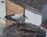 Capi_Dubne_20250406_135502.jpg