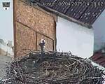 Capi_Dubne_20250406_141002.jpg