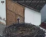 Capi_Dubne_20250406_141504.jpg