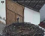 Capi_Dubne_20250406_142003.jpg