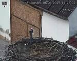 Capi_Dubne_20250406_142502.jpg