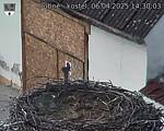 Capi_Dubne_20250406_143003.jpg