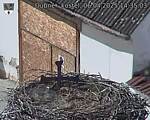 Capi_Dubne_20250406_143503.jpg