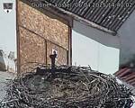 Capi_Dubne_20250406_144002.jpg