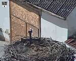Capi_Dubne_20250406_145502.jpg