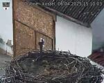 Capi_Dubne_20250406_151003.jpg