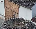 Capi_Dubne_20250406_152002.jpg