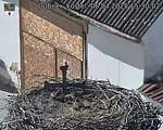 Capi_Dubne_20250406_153002.jpg