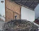Capi_Dubne_20250406_153502.jpg