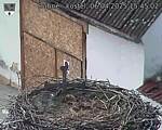 Capi_Dubne_20250406_154502.jpg