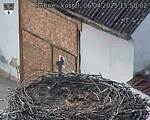 Capi_Dubne_20250406_155003.jpg