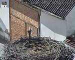 Capi_Dubne_20250406_155502.jpg