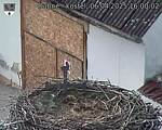 Capi_Dubne_20250406_160002.jpg