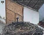 Capi_Dubne_20250406_160503.jpg