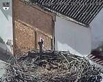 Capi_Dubne_20250406_161004.jpg