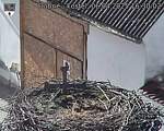 Capi_Dubne_20250406_163002.jpg