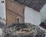Capi_Dubne_20250406_164002.jpg