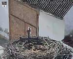Capi_Dubne_20250406_164503.jpg