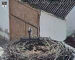 Capi_Dubne_20250406_165003.jpg