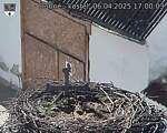 Capi_Dubne_20250406_170003.jpg
