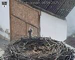 Capi_Dubne_20250406_171002.jpg