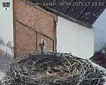 Capi_Dubne_20250406_172002.jpg