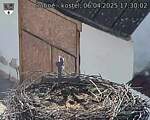 Capi_Dubne_20250406_173002.jpg