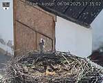 Capi_Dubne_20250406_173503.jpg