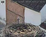 Capi_Dubne_20250406_175502.jpg