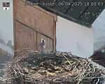 Capi_Dubne_20250406_180003.jpg