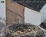 Capi_Dubne_20250406_181503.jpg