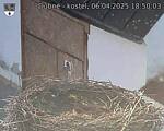 Capi_Dubne_20250406_185003.jpg