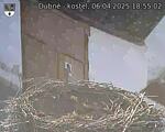 Capi_Dubne_20250406_185502.jpg