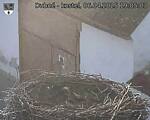 Capi_Dubne_20250406_190503.jpg
