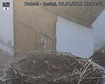 Capi_Dubne_20250406_191002.jpg
