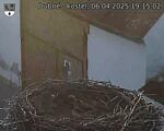 Capi_Dubne_20250406_191502.jpg