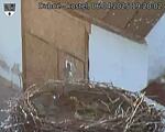 Capi_Dubne_20250406_192002.jpg