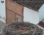 Capi_Dubne_20250406_193504.jpg