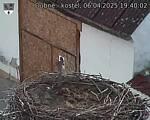 Capi_Dubne_20250406_194002.jpg