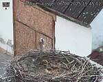 Capi_Dubne_20250406_194502.jpg