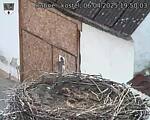 Capi_Dubne_20250406_195003.jpg