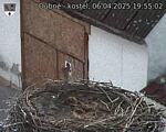 Capi_Dubne_20250406_195502.jpg