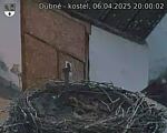 Capi_Dubne_20250406_200002.jpg