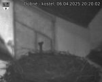 Capi_Dubne_20250406_202002.jpg