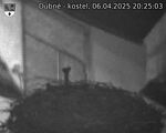 Capi_Dubne_20250406_202503.jpg