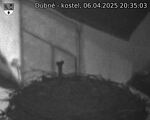 Capi_Dubne_20250406_203503.jpg