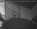 Capi_Dubne_20250406_222003.jpg