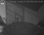 Capi_Dubne_20250407_011502.jpg