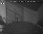 Capi_Dubne_20250407_013502.jpg